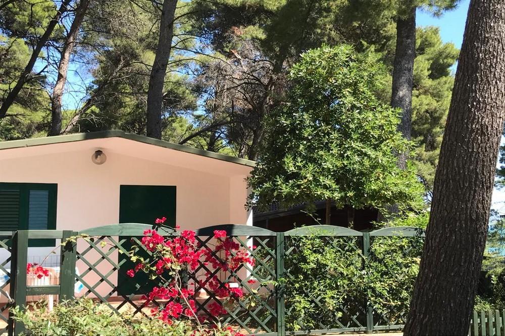 Camping Village Internazionale